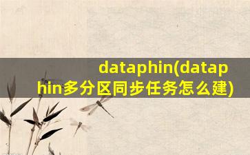 dataphin(dataphin多分区同步任务怎么建)