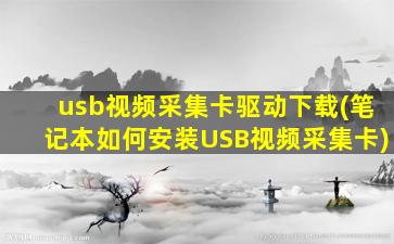 usb视频采集卡驱动下载(笔记本如何安装USB视频采集卡)